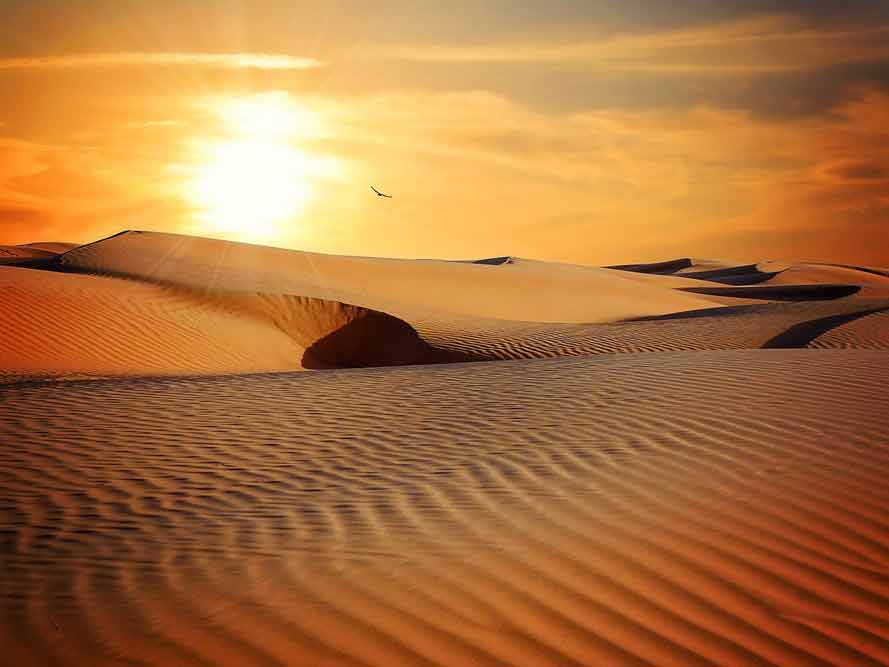 Activité désert Sahara