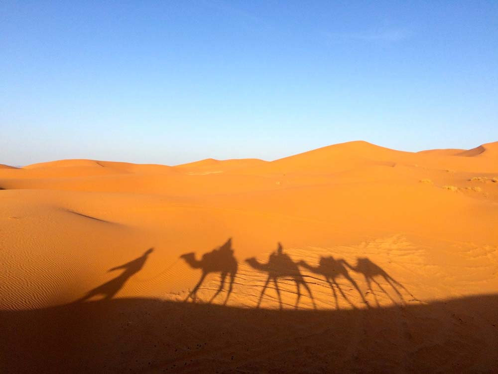 danger à éviter dans le désert de sahara